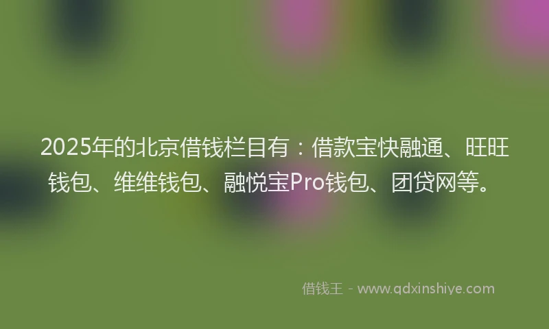 2025年的北京借钱栏目有：借款宝快融通、旺旺钱包、维维钱包、融悦宝Pro钱包、团贷网等。
