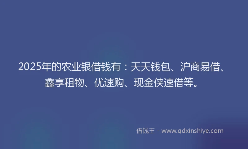 2025年的农业银借钱有：天天钱包、沪商易借、鑫享租物、优速购、现金侠速借等。
