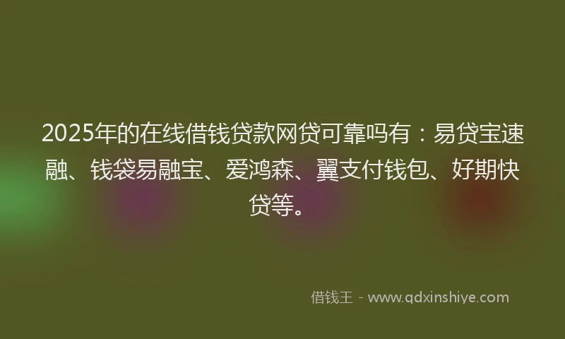 2025年的在线借钱贷款网贷可靠吗有：易贷宝速融、钱袋易融宝、爱鸿森、翼支付钱包、好期快贷等。