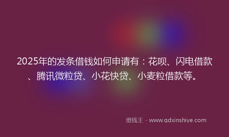 2025年的发条借钱如何申请有：花呗、闪电借款、腾讯微粒贷、小花快贷、小麦粒借款等。