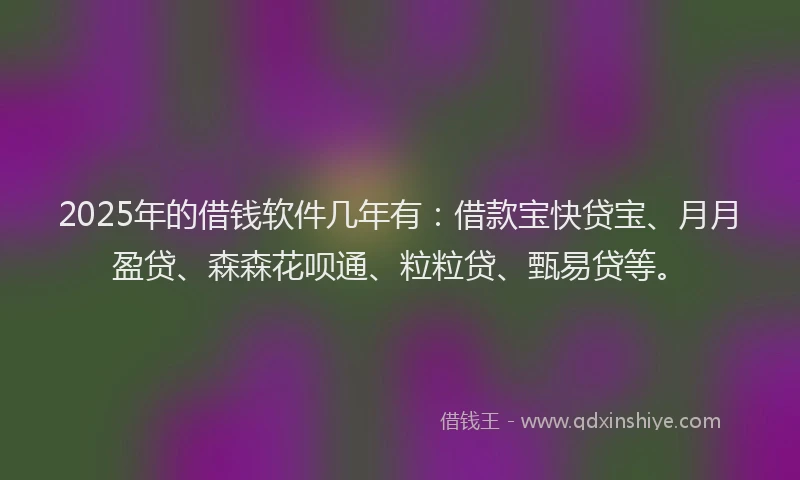 2025年的借钱软件几年有：借款宝快贷宝、月月盈贷、森森花呗通、粒粒贷、甄易贷等。