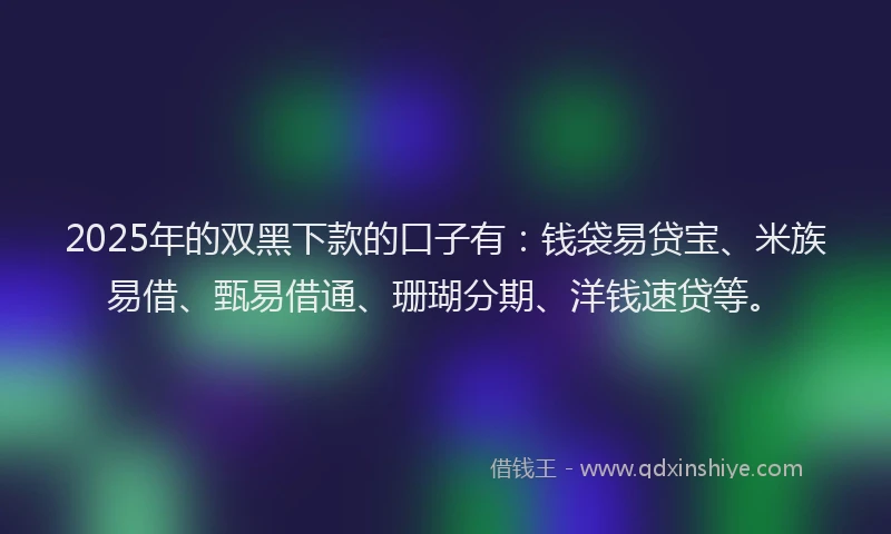 2025年的双黑下款的口子有：钱袋易贷宝、米族易借、甄易借通、珊瑚分期、洋钱速贷等。
