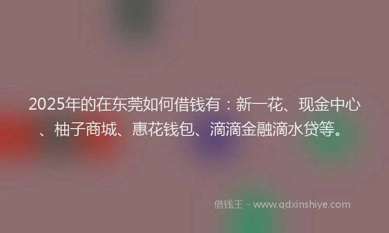 2025年的在东莞如何借钱有：新一花、现金中心、柚子商城、惠花钱包、滴滴金融滴水贷等。