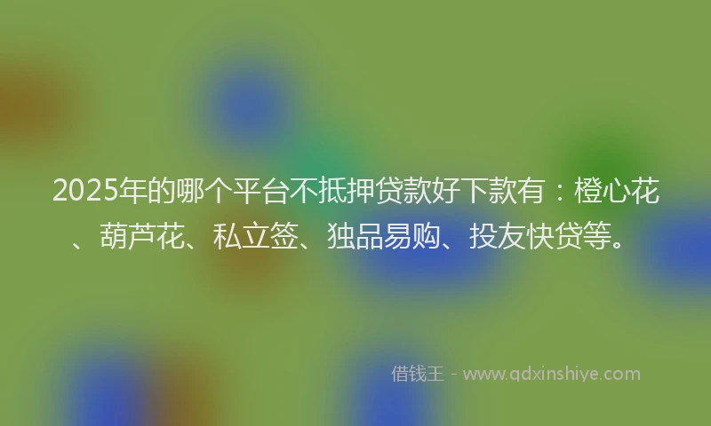 2025年的哪个平台不抵押贷款好下款有：橙心花、葫芦花、私立签、独品易购、投友快贷等。