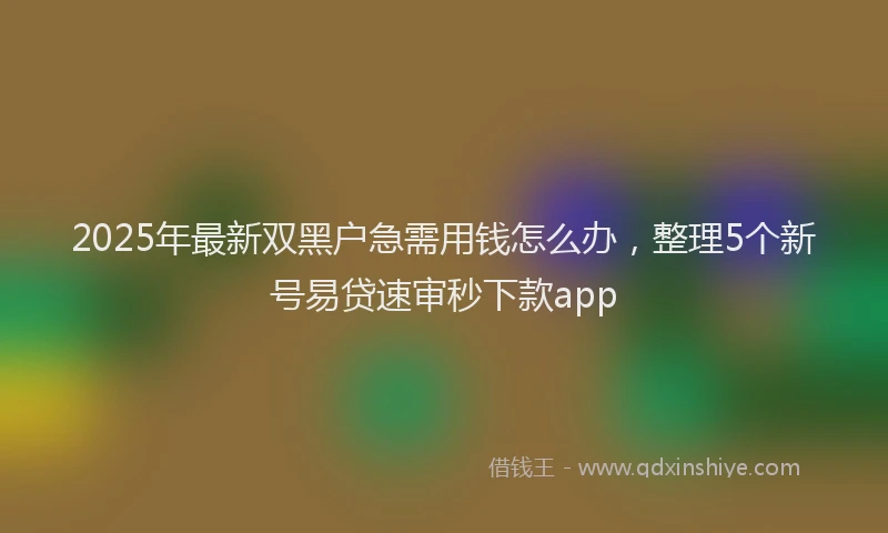 2025年最新双黑户急需用钱怎么办，整理5个新号易贷速审秒下款app