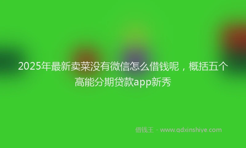 2025年最新卖菜没有微信怎么借钱呢，概括五个高能分期贷款app新秀
