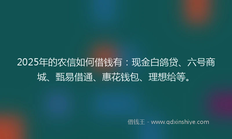 2025年的农信如何借钱有：现金白鸽贷、六号商城、甄易借通、惠花钱包、理想给等。