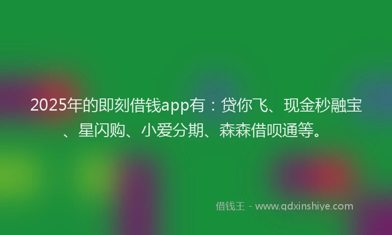 2025年的即刻借钱app有：贷你飞、现金秒融宝、星闪购、小爱分期、森森借呗通等。