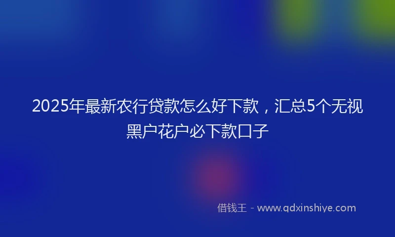 2025年最新农行贷款怎么好下款，汇总5个无视黑户花户必下款口子