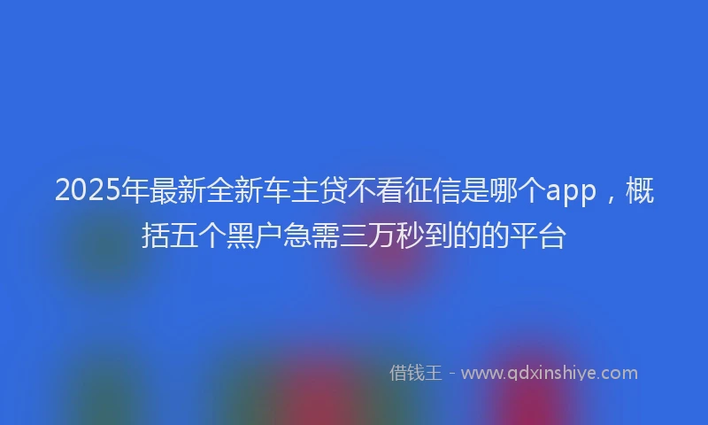 2025年最新全新车主贷不看征信是哪个app，概括五个黑户急需三万秒到的的平台