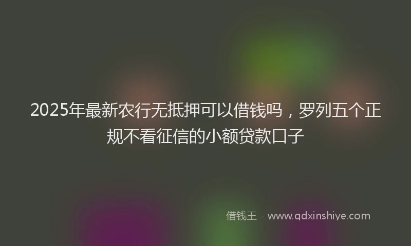 2025年最新农行无抵押可以借钱吗，罗列五个正规不看征信的小额贷款口子