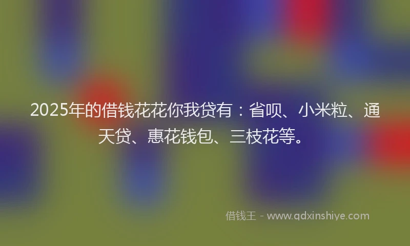 2025年的借钱花花你我贷有：省呗、小米粒、通天贷、惠花钱包、三枝花等。
