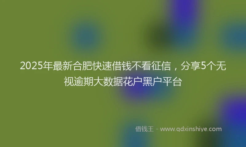 2025年最新合肥快速借钱不看征信，分享5个无视逾期大数据花户黑户平台