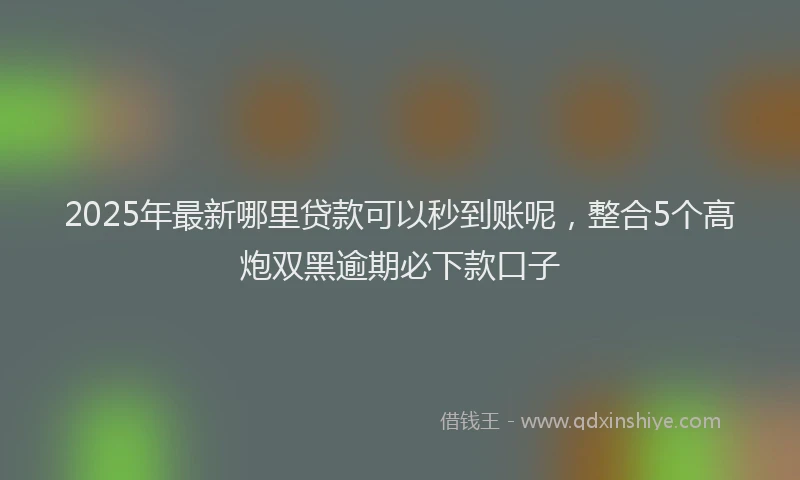 2025年最新哪里贷款可以秒到账呢，整合5个高炮双黑逾期必下款口子