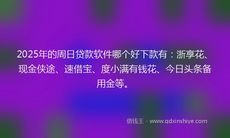 2025年的周日贷款软件哪个好下款有：浙享花、现金侠途、速借宝、度小满有钱花、今日头条备用金等。