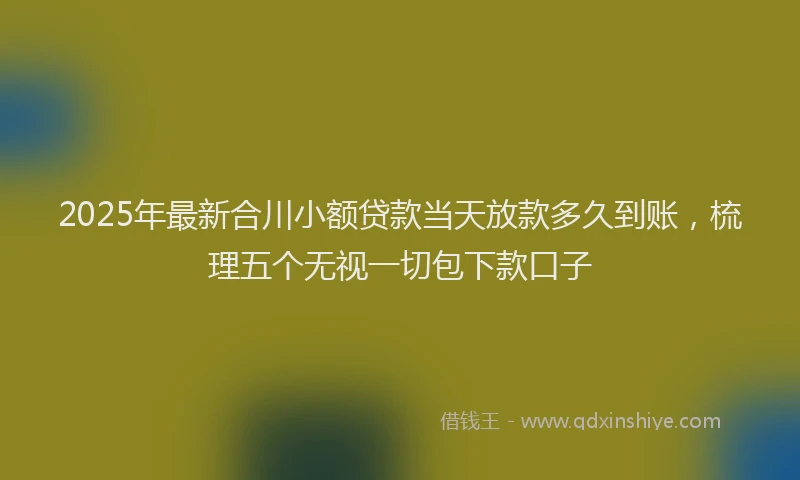 2025年最新合川小额贷款当天放款多久到账，梳理五个无视一切包下款口子