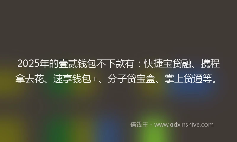 2025年的壹贰钱包不下款有：快捷宝贷融、携程拿去花、速享钱包+、分子贷宝盒、掌上贷通等。