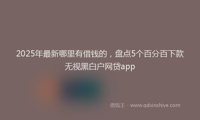 2025年最新哪里有借钱的，盘点5个百分百下款无视黑白户网贷app