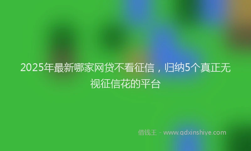 2025年最新哪家网贷不看征信，归纳5个真正无视征信花的平台