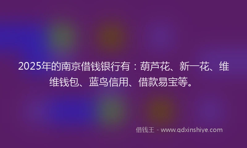 2025年的南京借钱银行有：葫芦花、新一花、维维钱包、蓝鸟信用、借款易宝等。