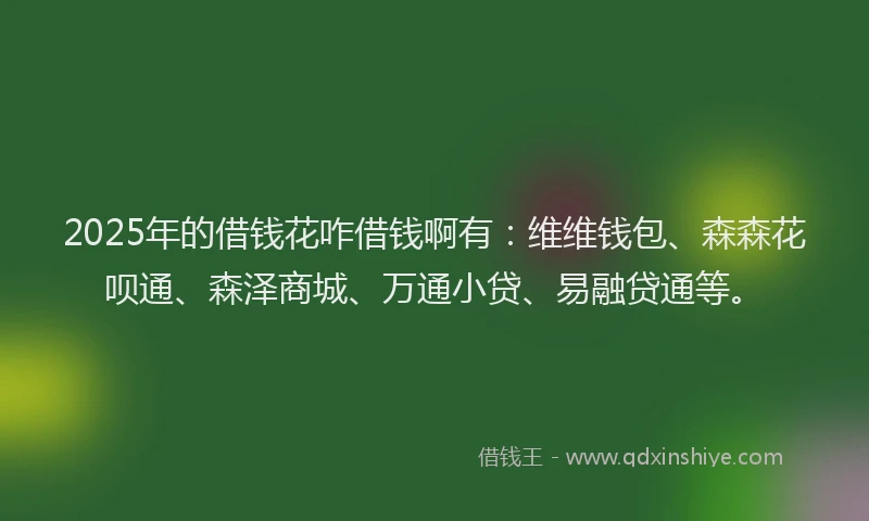 2025年的借钱花咋借钱啊有：维维钱包、森森花呗通、森泽商城、万通小贷、易融贷通等。