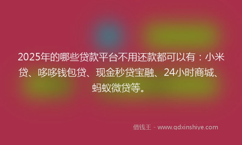 2025年的哪些贷款平台不用还款都可以有：小米贷、哆哆钱包贷、现金秒贷宝融、24小时商城、蚂蚁微贷等。