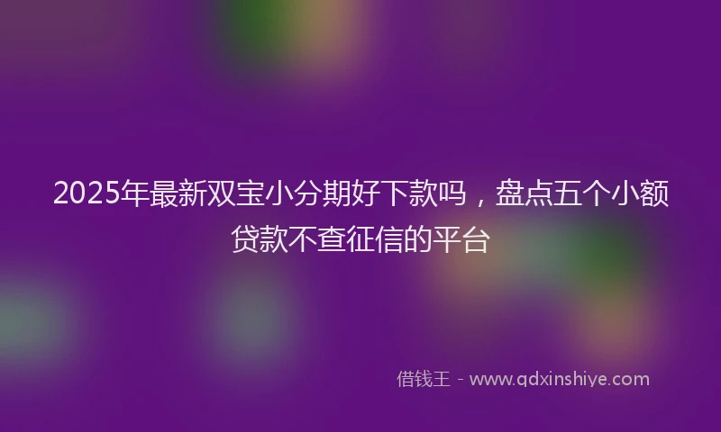 2025年最新双宝小分期好下款吗，盘点五个小额贷款不查征信的平台