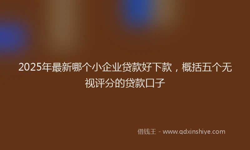 2025年最新哪个小企业贷款好下款，概括五个无视评分的贷款口子