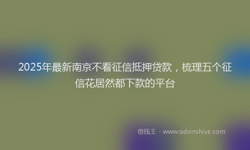 2025年最新南京不看征信抵押贷款，梳理五个征信花居然都下款的平台