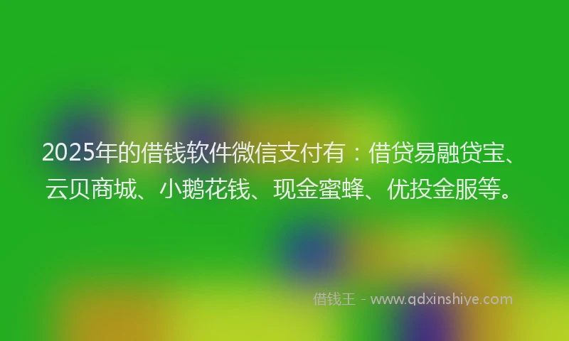 2025年的借钱软件微信支付有：借贷易融贷宝、云贝商城、小鹅花钱、现金蜜蜂、优投金服等。