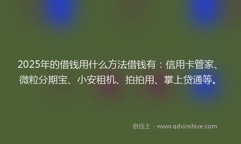 2025年的借钱用什么方法借钱有：信用卡管家、微粒分期宝、小安租机、拍拍用、掌上贷通等。