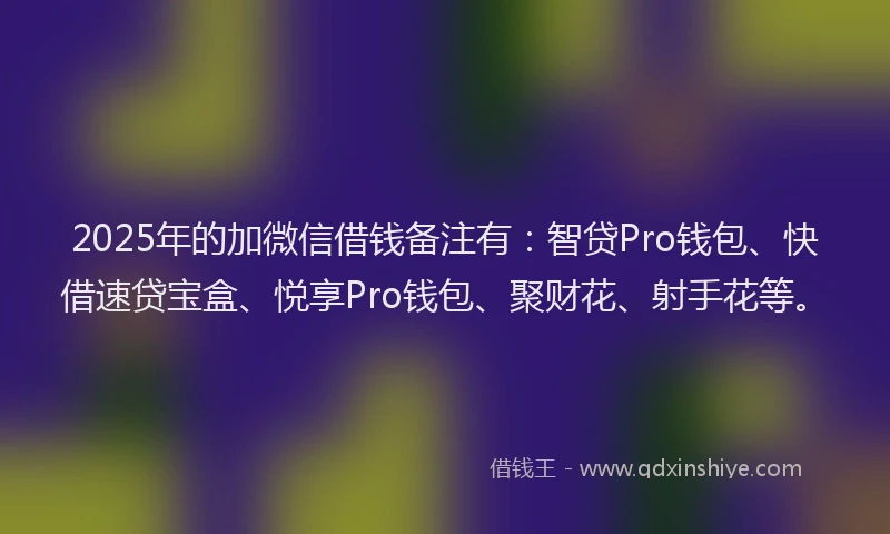 2025年的加微信借钱备注有：智贷Pro钱包、快借速贷宝盒、悦享Pro钱包、聚财花、射手花等。