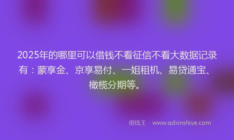 2025年的哪里可以借钱不看征信不看大数据记录有：蒙享金、京享易付、一姐租机、易贷通宝、橄榄分期等。