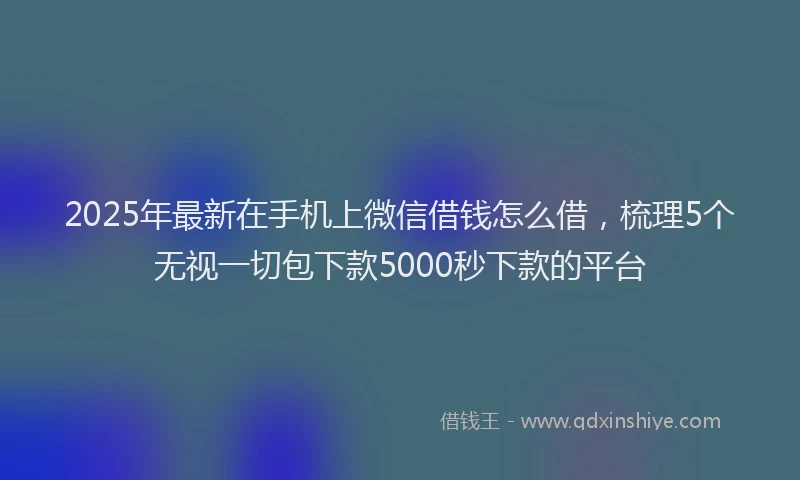 2025年最新在手机上微信借钱怎么借，梳理5个无视一切包下款5000秒下款的平台