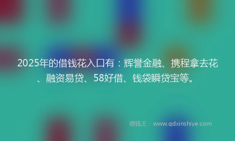 2025年的借钱花入口有：辉誉金融、携程拿去花、融资易贷、58好借、钱袋瞬贷宝等。