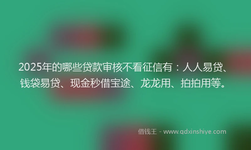 2025年的哪些贷款审核不看征信有：人人易贷、钱袋易贷、现金秒借宝途、龙龙用、拍拍用等。
