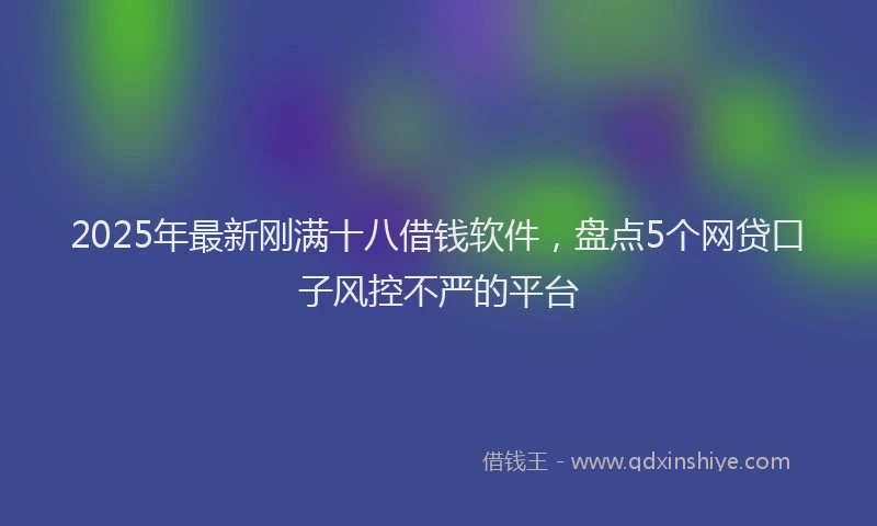 2025年最新刚满十八借钱软件，盘点5个网贷口子风控不严的平台