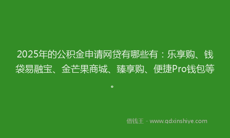2025年的公积金申请网贷有哪些有：乐享购、钱袋易融宝、金芒果商城、臻享购、便捷Pro钱包等。