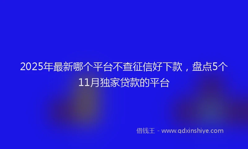 2025年最新哪个平台不查征信好下款，盘点5个11月独家贷款的平台