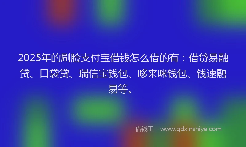 2025年的刷脸支付宝借钱怎么借的有：借贷易融贷、口袋贷、瑞信宝钱包、哆来咪钱包、钱速融易等。