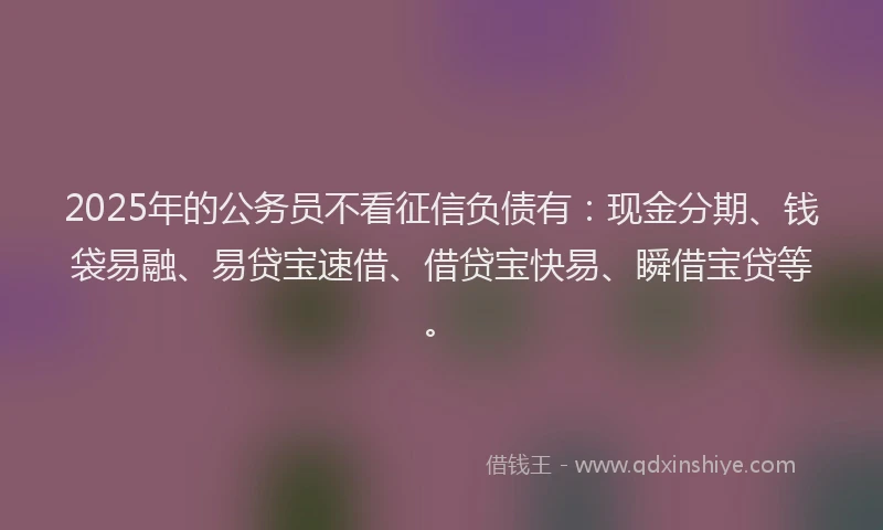 2025年的公务员不看征信负债有：现金分期、钱袋易融、易贷宝速借、借贷宝快易、瞬借宝贷等。