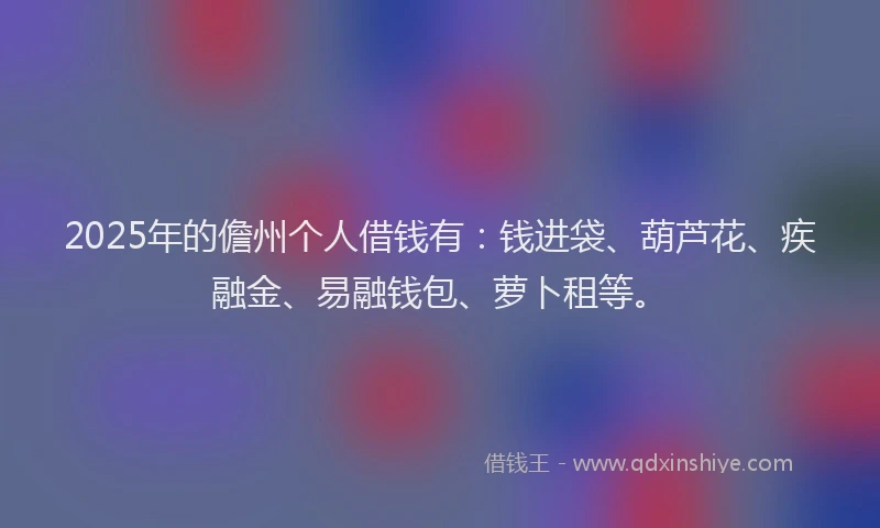 2025年的儋州个人借钱有：钱进袋、葫芦花、疾融金、易融钱包、萝卜租等。