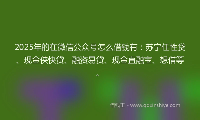 2025年的在微信公众号怎么借钱有：苏宁任性贷、现金侠快贷、融资易贷、现金直融宝、想借等。