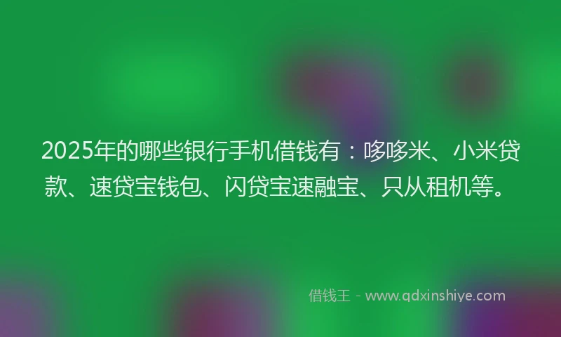 2025年的哪些银行手机借钱有：哆哆米、小米贷款、速贷宝钱包、闪贷宝速融宝、只从租机等。