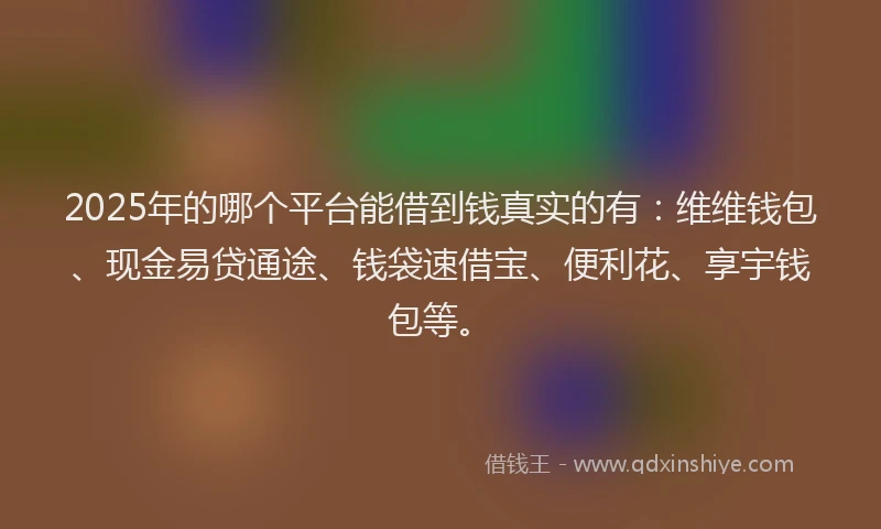 2025年的哪个平台能借到钱真实的有：维维钱包、现金易贷通途、钱袋速借宝、便利花、享宇钱包等。