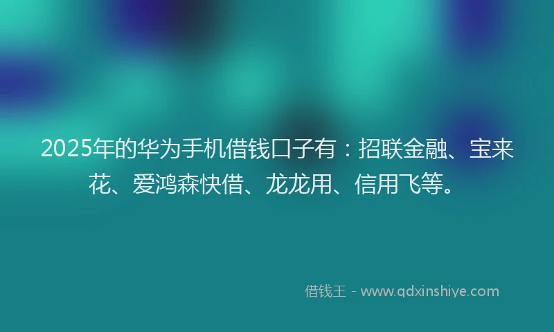 2025年的华为手机借钱口子有：招联金融、宝来花、爱鸿森快借、龙龙用、信用飞等。