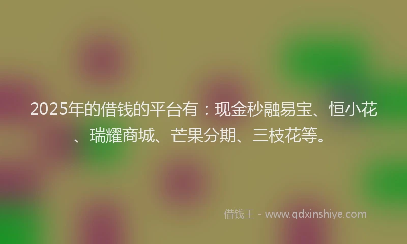2025年的借钱的平台有：现金秒融易宝、恒小花、瑞耀商城、芒果分期、三枝花等。