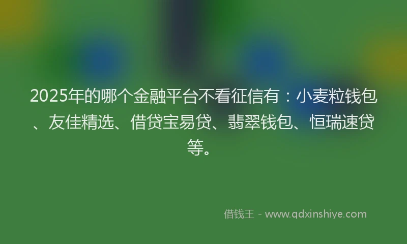 2025年的哪个金融平台不看征信有：小麦粒钱包、友佳精选、借贷宝易贷、翡翠钱包、恒瑞速贷等。