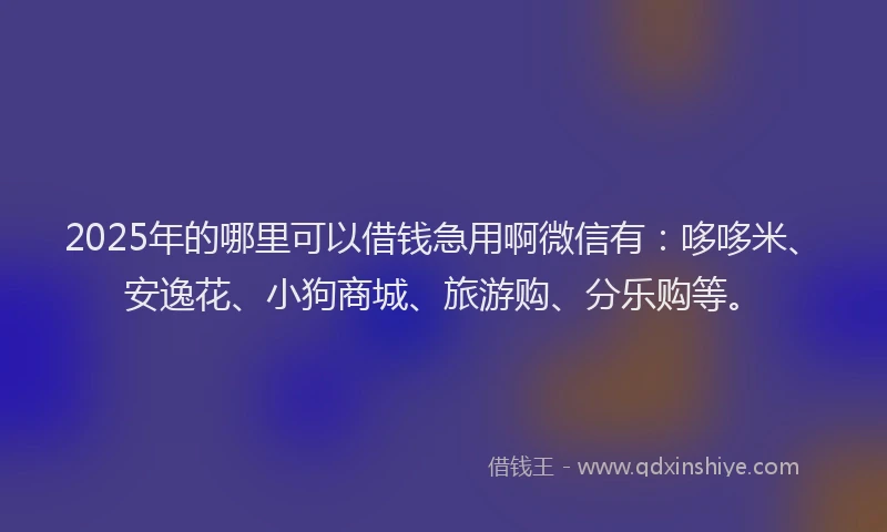 2025年的哪里可以借钱急用啊微信有：哆哆米、安逸花、小狗商城、旅游购、分乐购等。