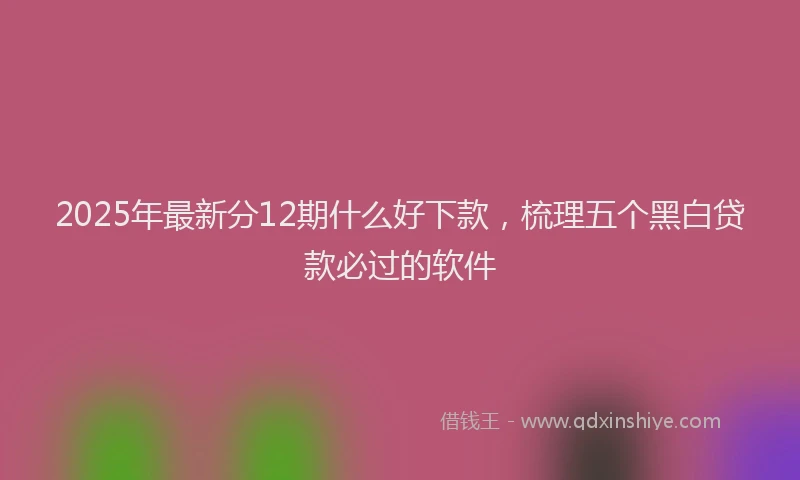 2025年最新分12期什么好下款，梳理五个黑白贷款必过的软件